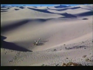 debauchery in the desert (1985)